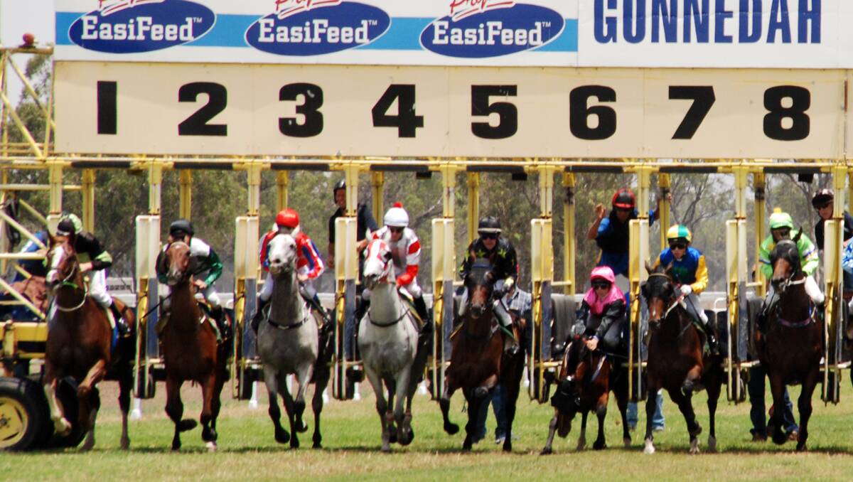 They’re off in the long race at Gunnedah on Saturday. Eventual winner Metric Mile is on the left with his big baldy face a standout. However, look at  Commandtree  coming out of barrier six on her nose with Shane Arnold aboard. She did well to stay on her feet. Photo: Geoff Newling 011212JB03