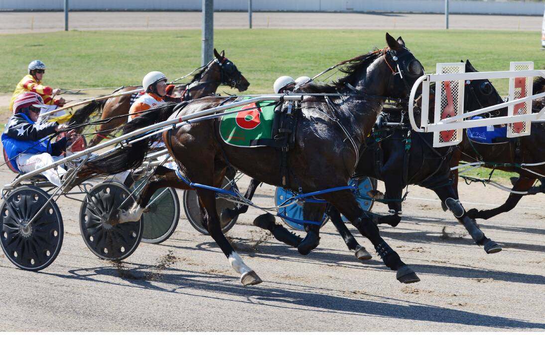 Dean Chapple and Mithry’s Magic start from the outside barrier at Tamworth earlier this year. They finished second but the Moonbi trainer/driver is hoping for a far better outcome at today’s Tamworth TAB Meeting.