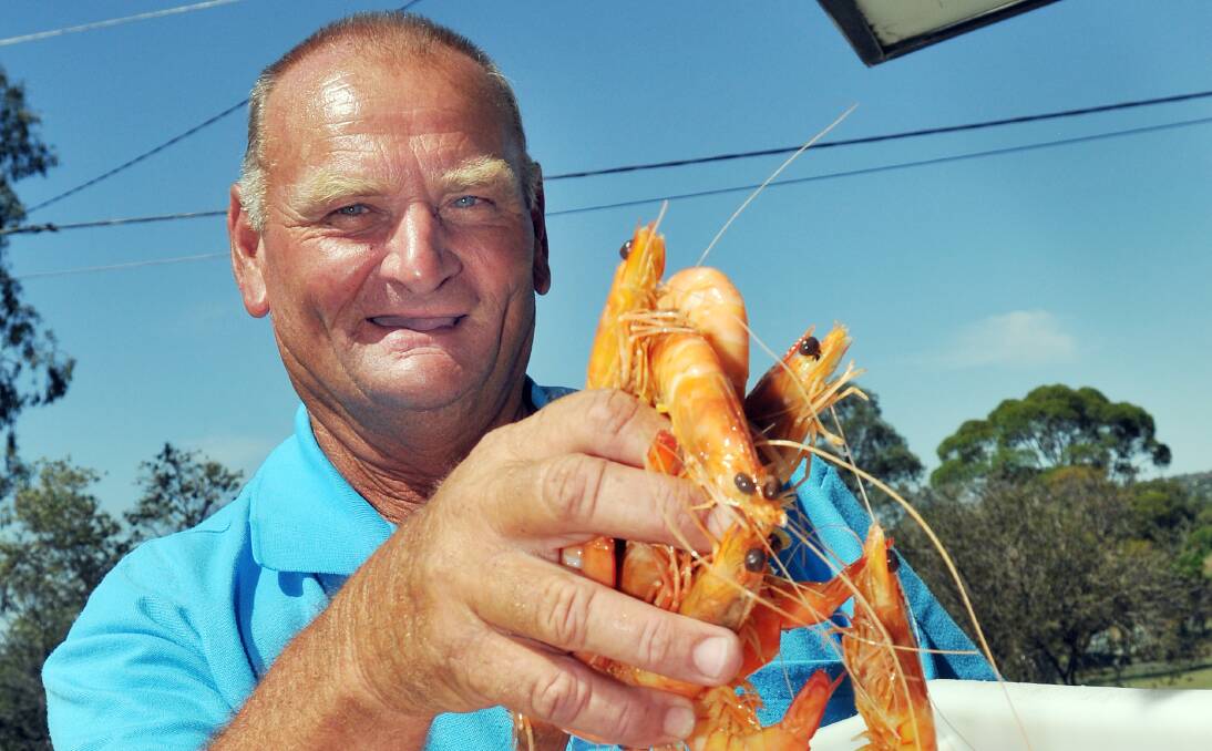 CATCH OF THE DAY: Fishmonger Barry Dutton says seafood sales are as strong as ever in Tamworth in the lead-up to Christmas. Photo: Geoff O’Neill 201213GOB01