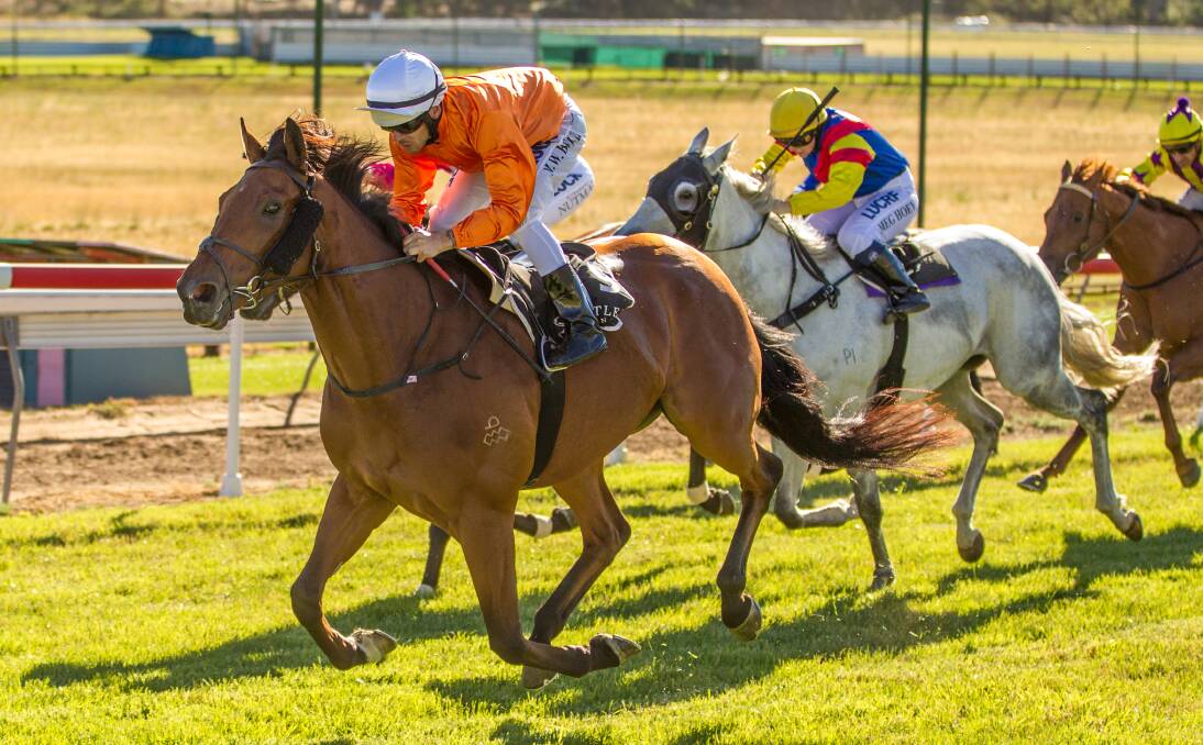 Ergo and Mitchell Bell win a benchmark 70 handicap at Mudgee last Friday for Paul Messara. The Scone trainer and Bell seek a Ranvet Christmas Cup at Scone today with log-jumping Leicester Square. Photo: courtesy racing.photography.com.au