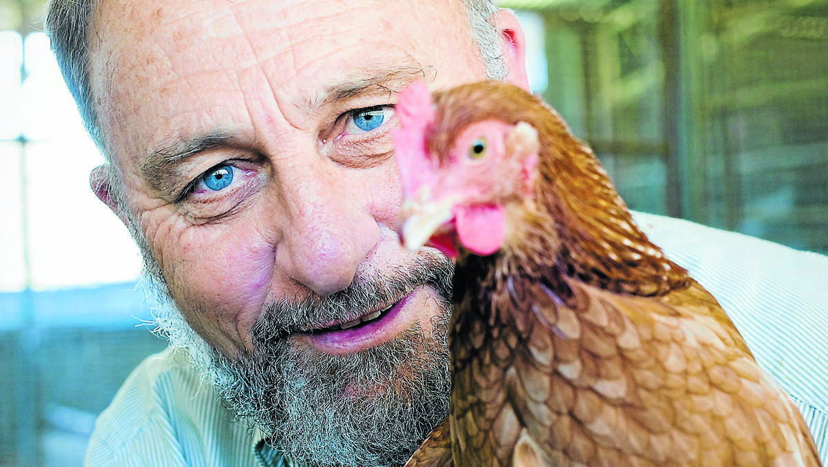 secret chook business: Geoff Hinch, professor of Animal Science at the University of New England, is working to understand optimism and pessimism in poultry. Photo: Tim Barnsley/UNE supplied