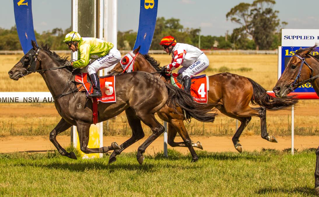 Run Legless wins the Allan Lloyd Memorial Cup at Narromine last Monday. He is nominated for Scone next Saturday. Photo:  racing.photography.com.au