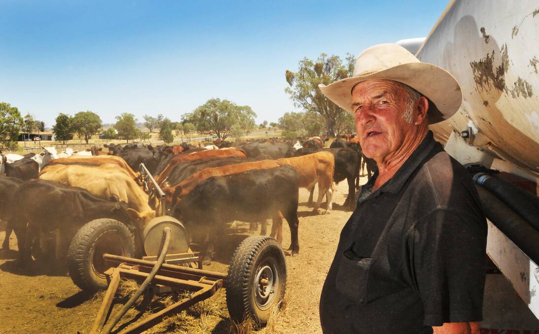 DROVER IN DISTRICT: Joe Lang has had a mob of cattle on the Manilla Rd for the past week and is heading towards Barraba. He's been on the road for 12 months. Photo: Gareth Gardner 210114GGA01