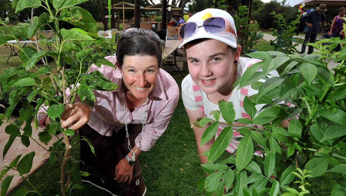 PEEKABOO: The Tamworth Community Organic Gardening Group’s family day at ANZAC Park on Saturday was fun. The group’s president, Hether MiLane, left, hams it up with Monique Taylor, 11. Photo: Barry Smith 171112BSE01