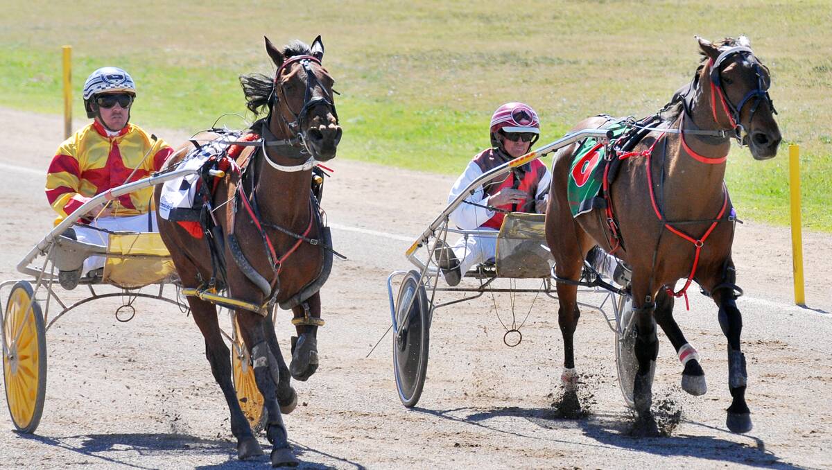 Secret Smile cruises past Chilli Ice Maiden for Cameron Davies to win at Tamworth Paceway for Inverell trainers Julie and Col Hobday. Photo: Geoff O'Neill 300913GOE01