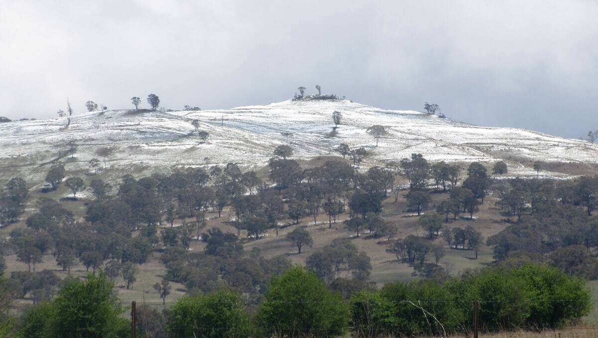 Snow dusts the ranges along the New England Highway at Guyra today. Photo: Lyn Adam