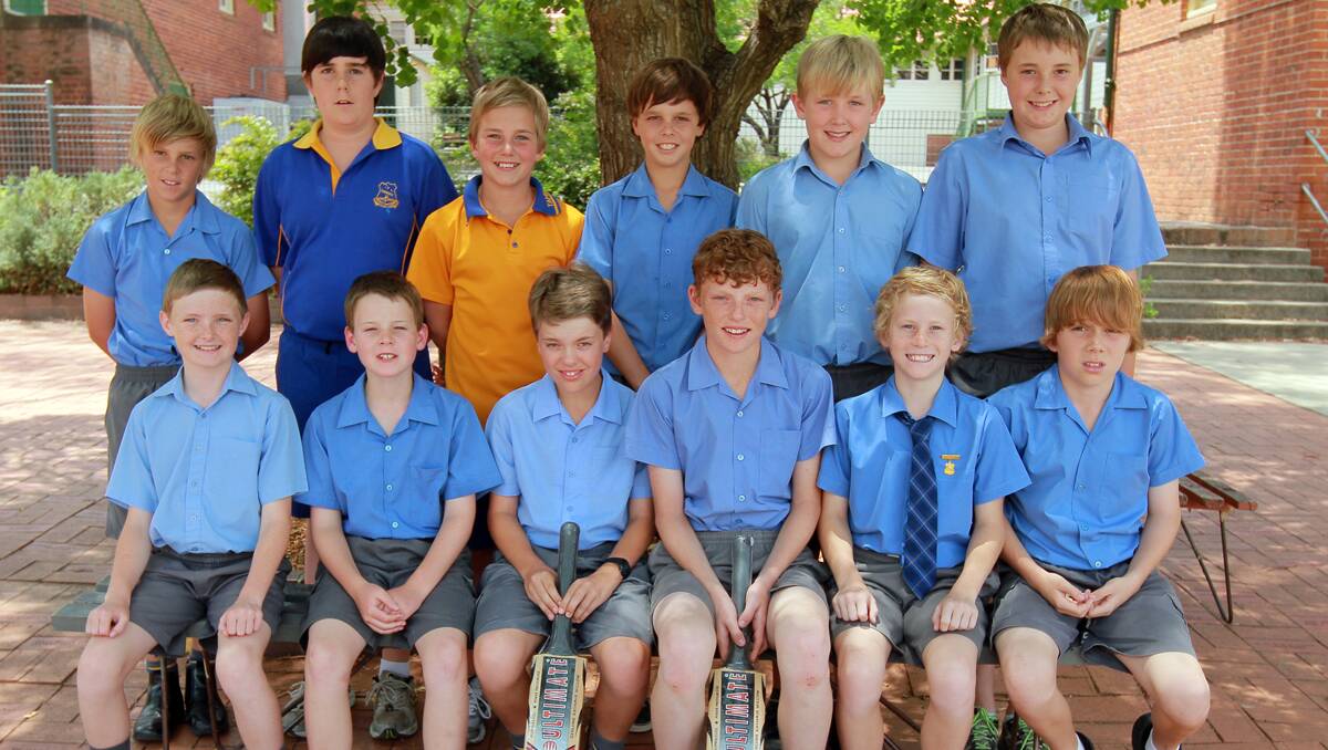 Tamworth Public’s boys’ cricket side (back from left) AJ Pretorius, Riley Fitzgerald, Ben Gamlin, Lachie Barton, Nathan Watts,  Brae Bursle (front from left) Ollie Keft-Gill, James Wallace, Aaron Madirazza, Jack Diebold, Harry Taylor and Zach Taylor is in Maitland for the state finals today. Photo: Rob Chappel 261112RCA25
