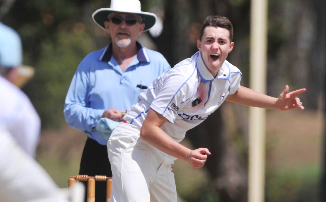  Young Tamworth offspinner Will Chesterfield is part of a balanced bowling attack hoping to restrict Inverell in tomorrow’s Connolly Cup semi-final.  Photo: Barry Smith  021113BSC22