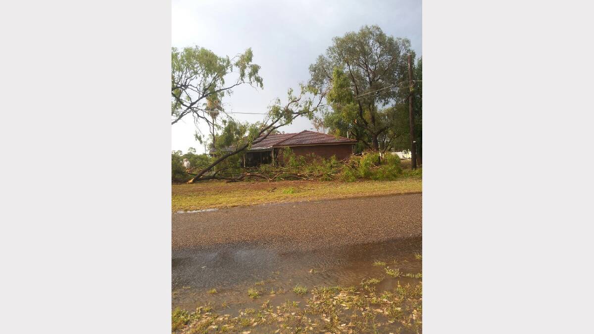 Some of the storm damage out at Curlewis. Pic: The Mitchells