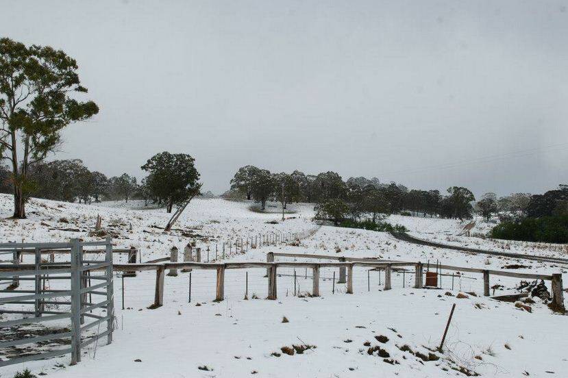 The Northern Tablelands is covered with snow this morning as a cold front brought winter in October to Guyra, Glen Innes and Armidale. Photo: Glen Innes Examiner