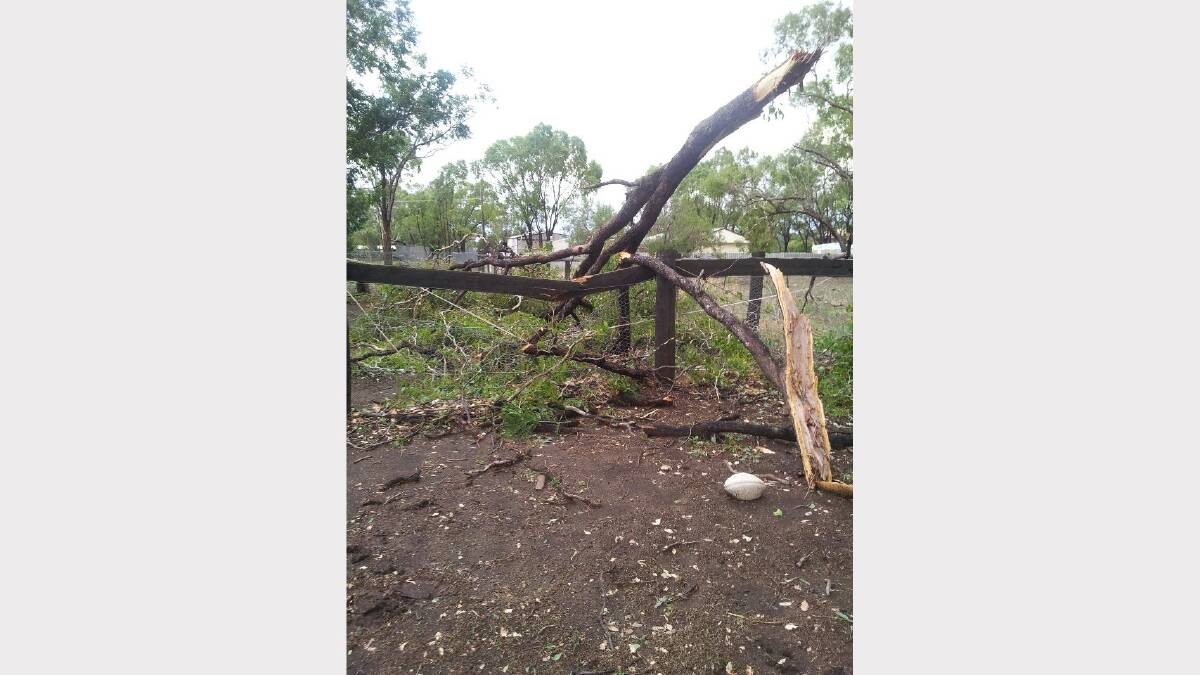 Some of the storm damage out at Curlewis. Pic: The Mitchells