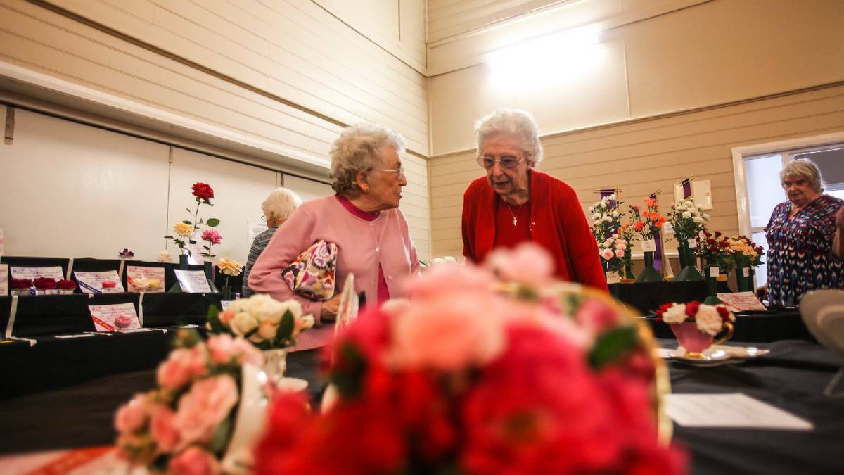 Impressive blooms were order of the day at the Illawarra Rose Society Spring Rose Show at Jamberoo. Picture: Dylan Robinson
