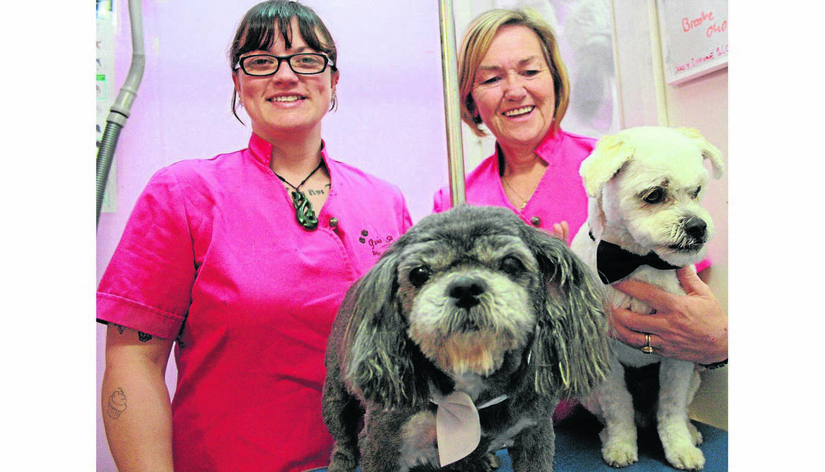 Pooch-styling experts Kelly Anderson and Ann Rennie.