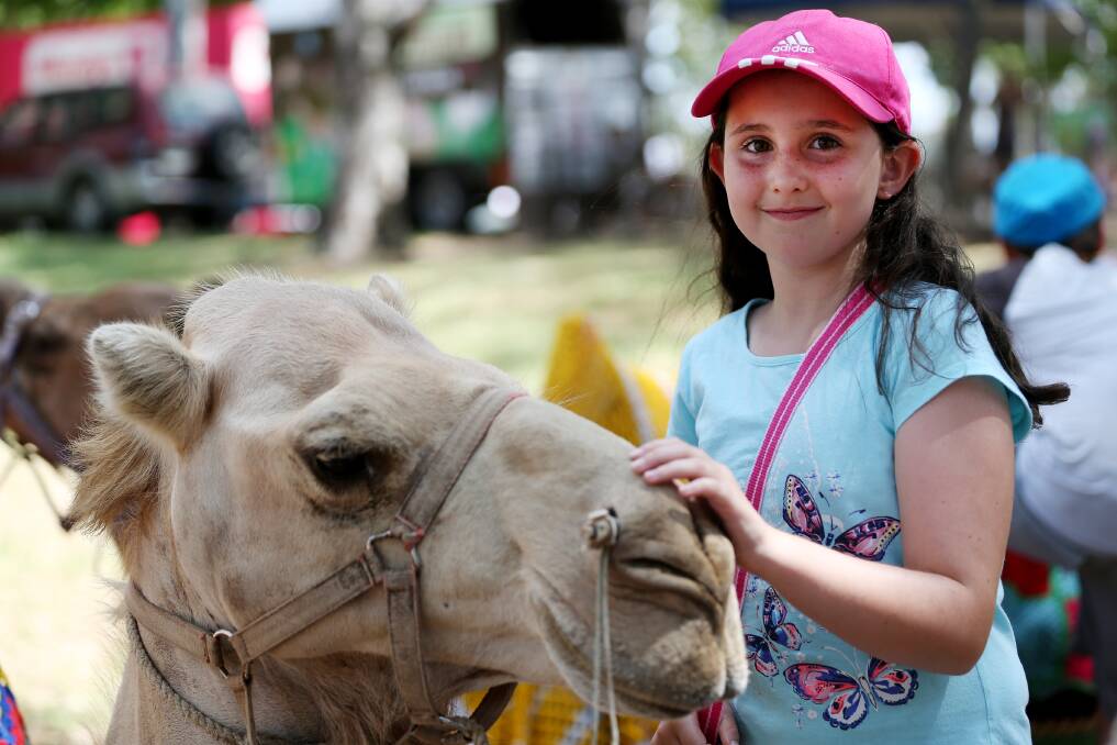 Grace Barnes,10, at the festival camel rides. Photo:Mat Bedford. 200114MBC06
