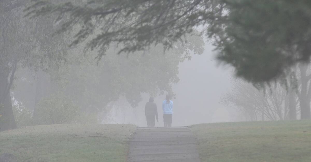 A photo of early morning fog in Anzac Park. Photo:Geoff O'Neill 110613GOA02
