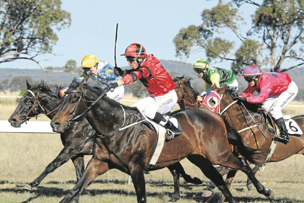 Alan Barton (red) aboard Jack the Nipper strides out at Wean. Photo: Sam Woods, Namoi Valley Independent.