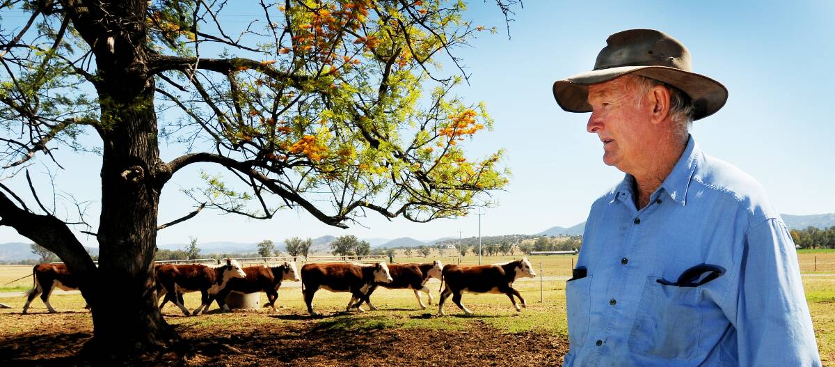 Rob Haling at his cattle farm in November. Photo:Gareth Gardner 141113GGA01