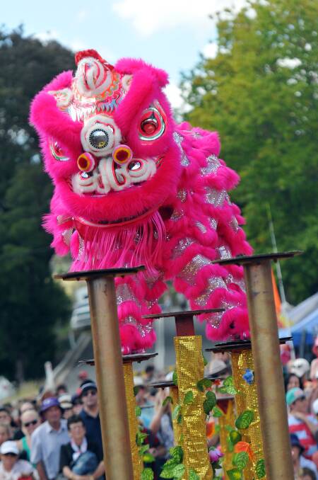 A Chinese dragon wows the crowd at the Nundle Go for Gold festival in March. Photo:Geoff O'Neill 300313GOA12