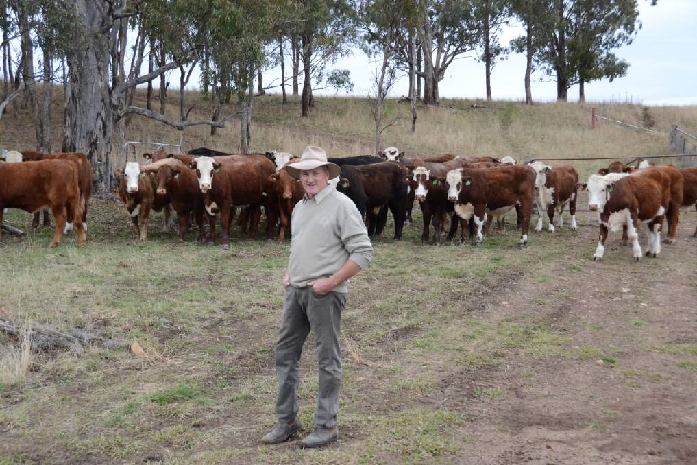 Organic farmer Glenn Morris is a finalist in the delicious magazine's 2013 produce awards. Photo: The Inverell Times.