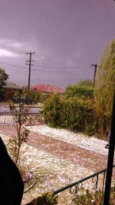 These photos were taken in South Tamworth by Norm and Beryl Howie