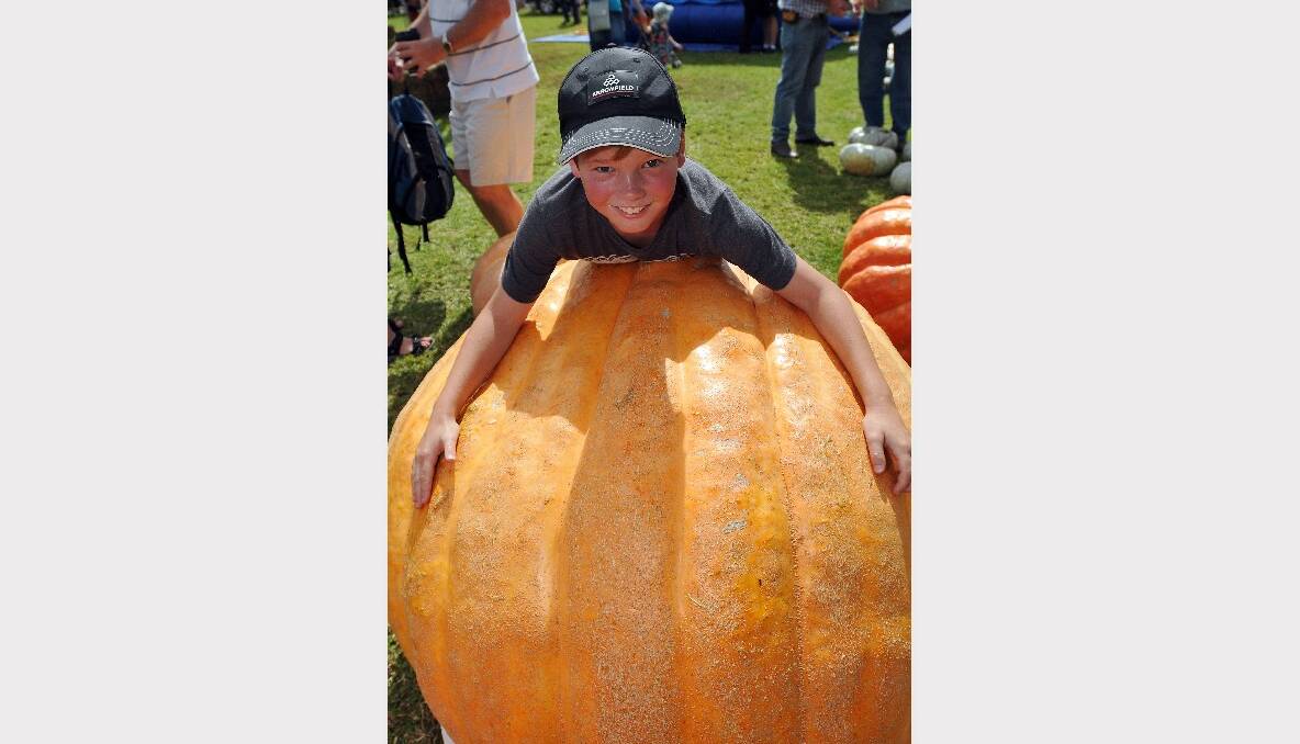 All the action from the Kootingal Pumpkin Festival. Photos: Geoff O'Neill 