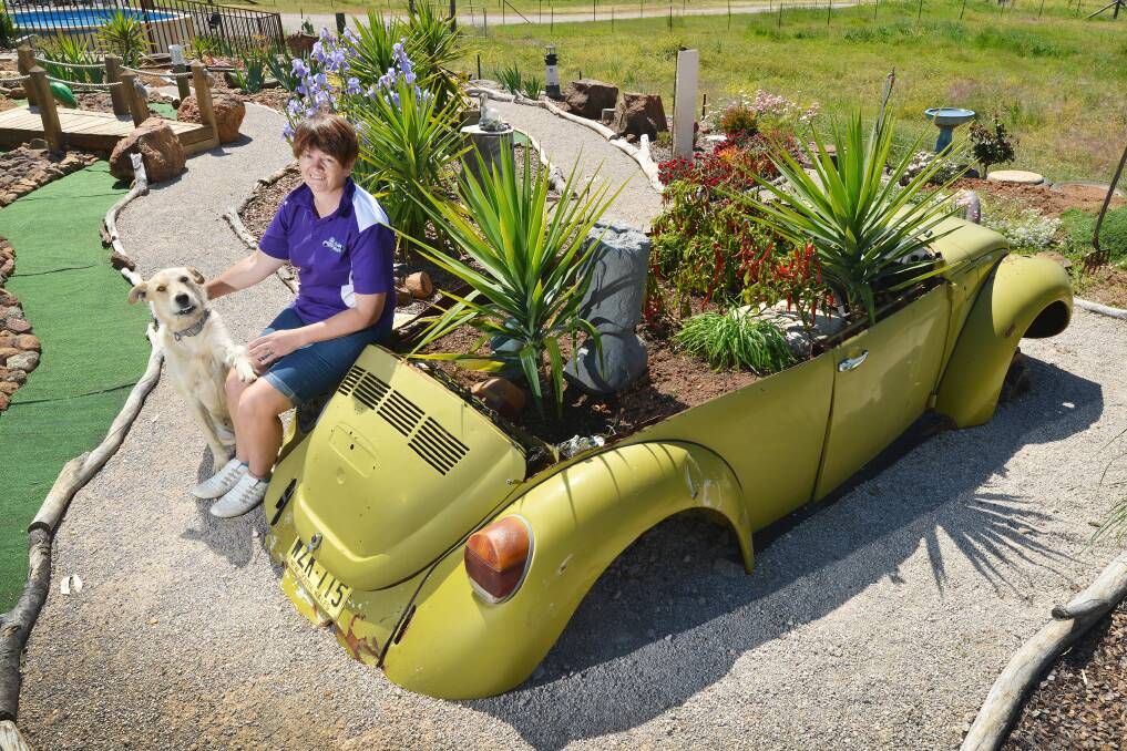 POT ON WHEELS: Meryn Wales and her dog Trip with her VW car pot plant garden at Manilla.  Photo: Barry Smith  290915BSA08