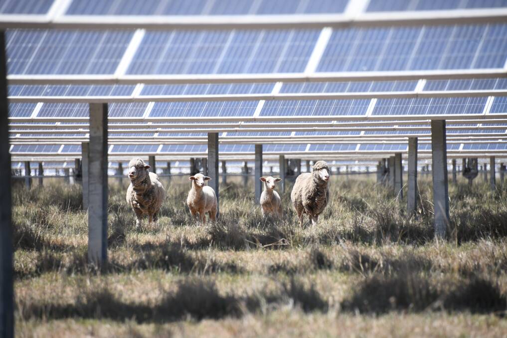 The Dubbo Solar Hub is one of many sites across the Central West Orana Renewable Energy Zone. Picture by Amy McIntyre