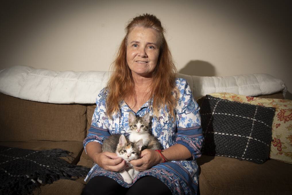 FUNDS: Brighter Future Cat Rescue volunteer Robyn Macari is hoping people donate in honour of the late Betty White to help kittens like Faith and Fancy. Photo: Peter Hardin