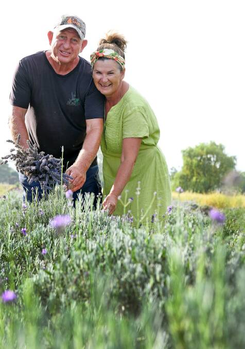 MARKET: Greg and Sharon Bailey's lavender farm in Willow Tree will host a market day on Saturday. Photo: Sally Alden