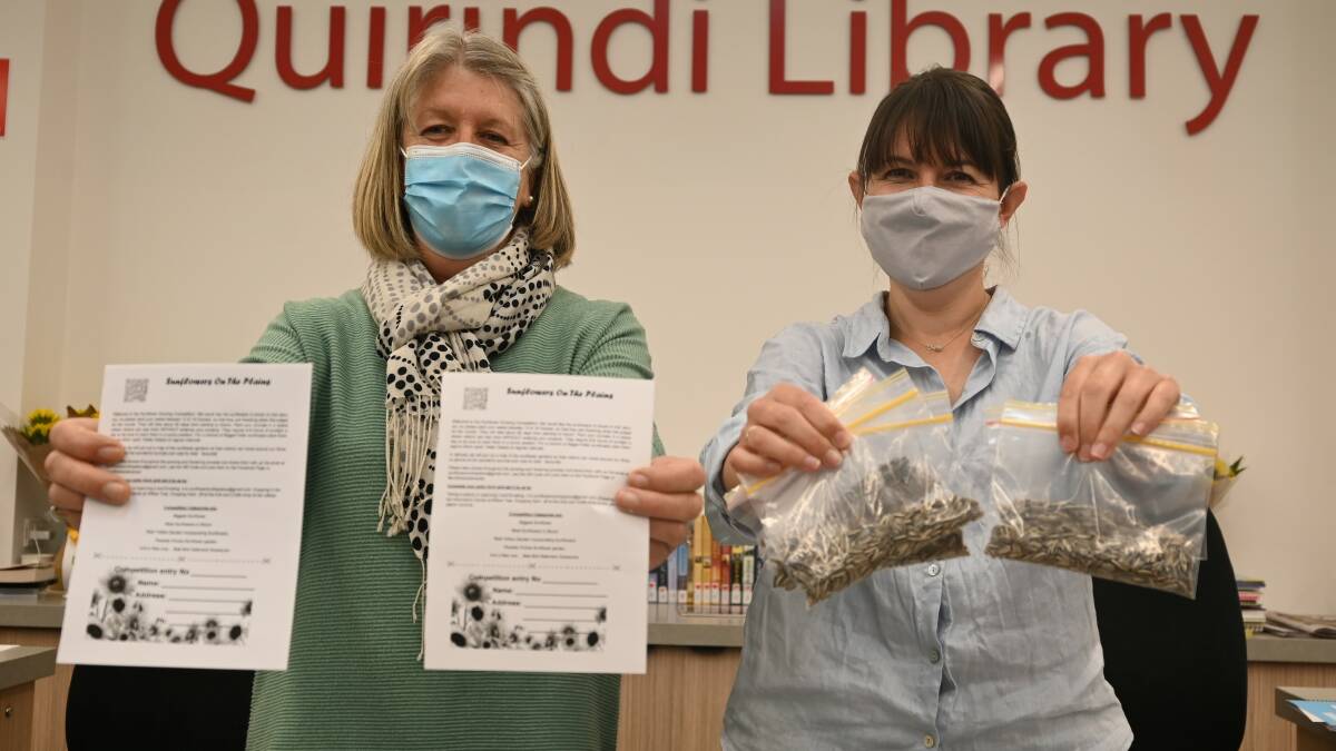 SEEDS: Quirindi library staff Judy Gill and Sarah Ranclaud get behind the Sunflowers on the Plains competition