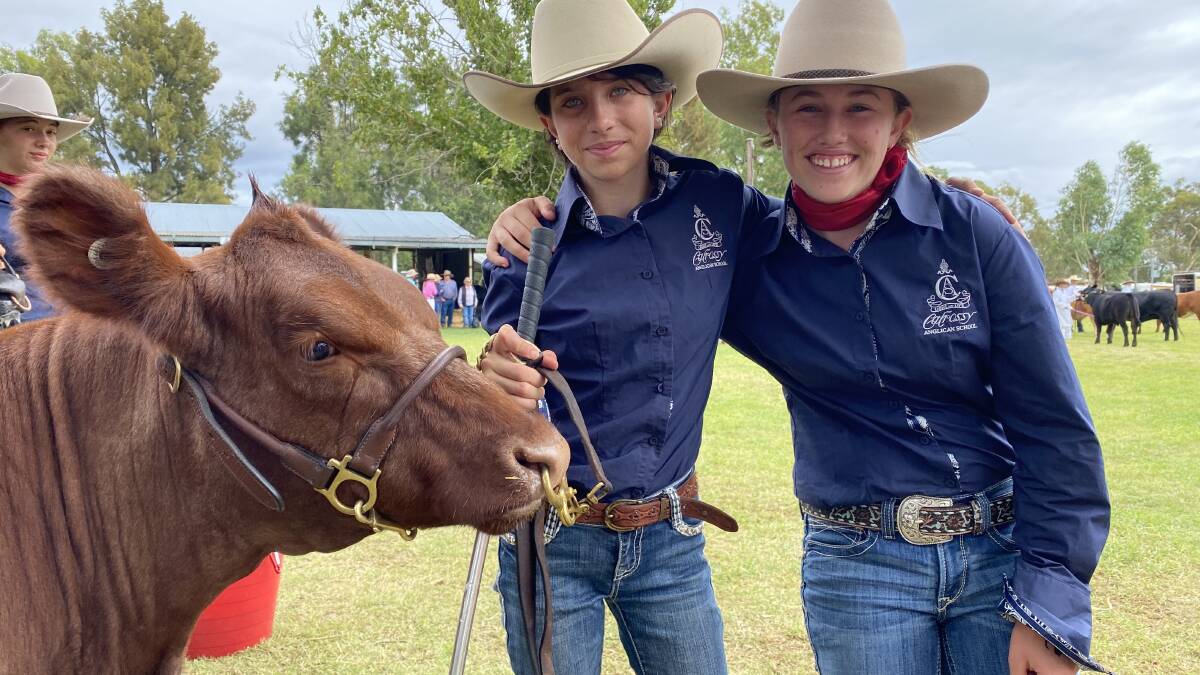 Calrossy Anglican School students achieve great success at the Inverell Show, qualifying them to head to Sydney in April. Photos: Supplied