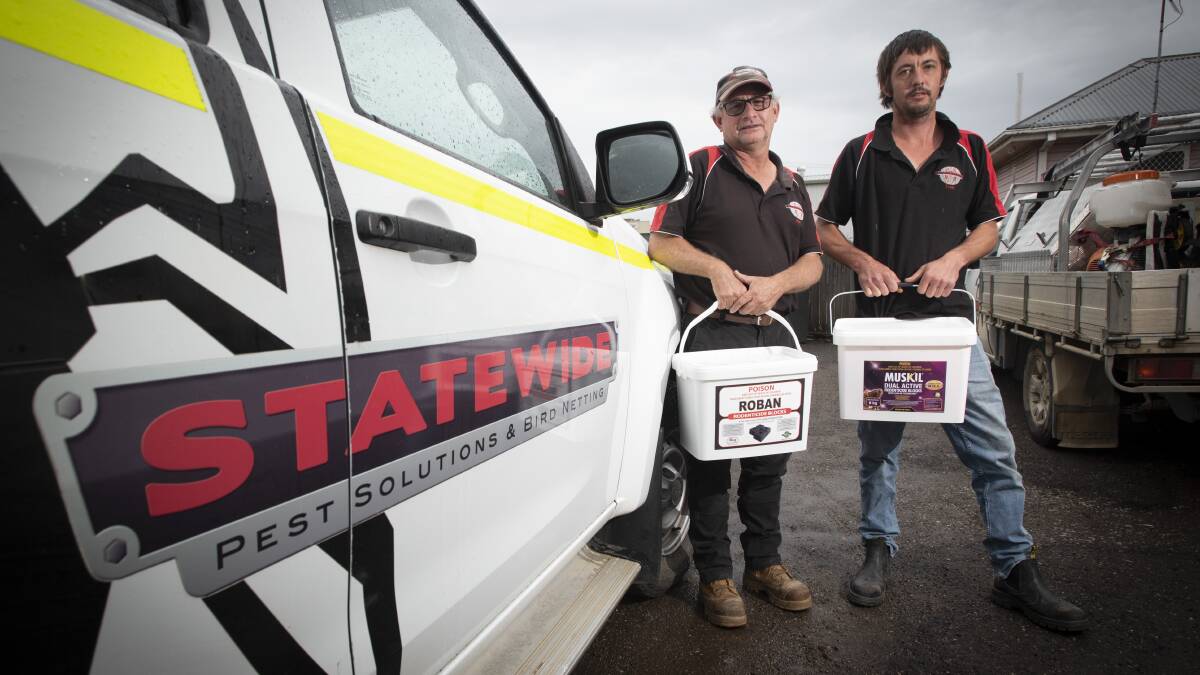 ALERT: Neville Fulwood and Tom Brown from Statewide Pest Solutions. Photo: Peter Hardin