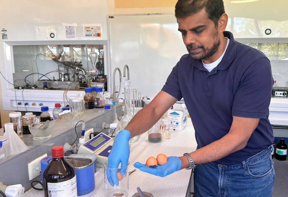 Dr Manickam Minakshi Sundaram, Murdoch University, has been researching using eggshells as an electrode in batteries. Photo by Murdoch University. 