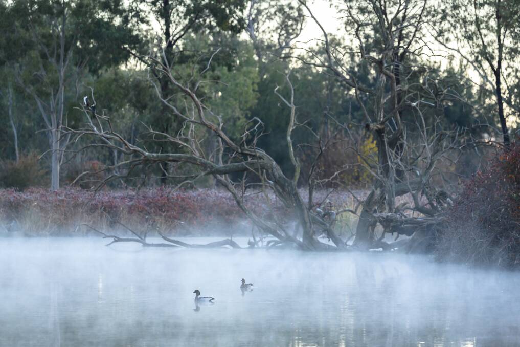 COLD START: Tamworth gripped by morning frost ahead of golden morning. Photos: Mark Kriedemann