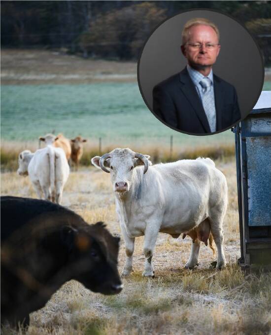 FRAGMENTS FOUND: Dr Mark Schipp said locals must create livestock buffer zones. Photo: Supplied/Mark Kriedemann