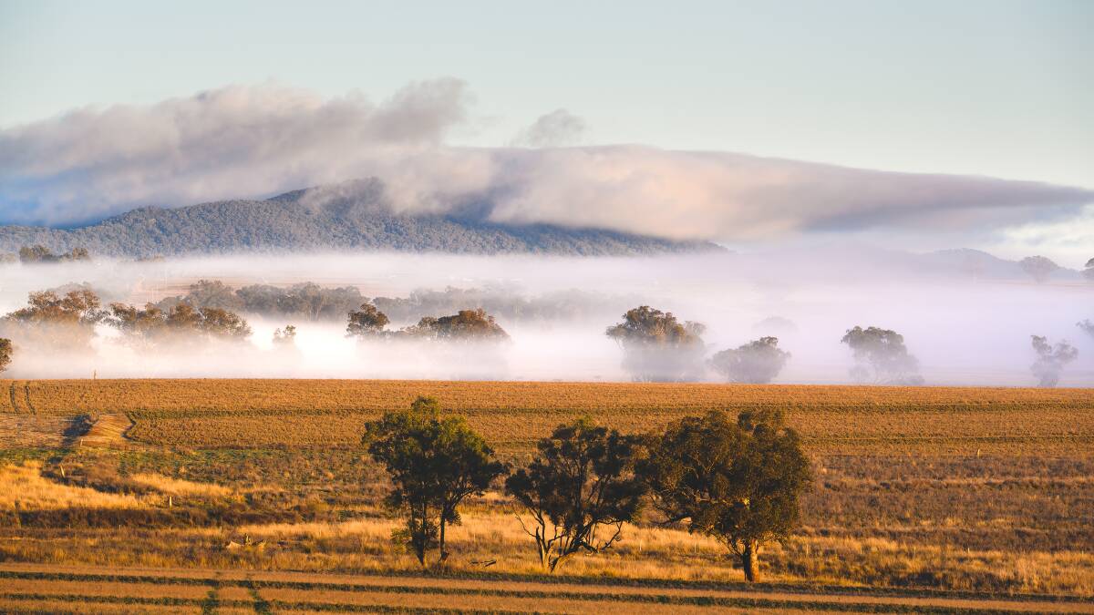 WEATHER: Winter deepens across the region with the land lost in mist. Photos: Mark Kriedemann