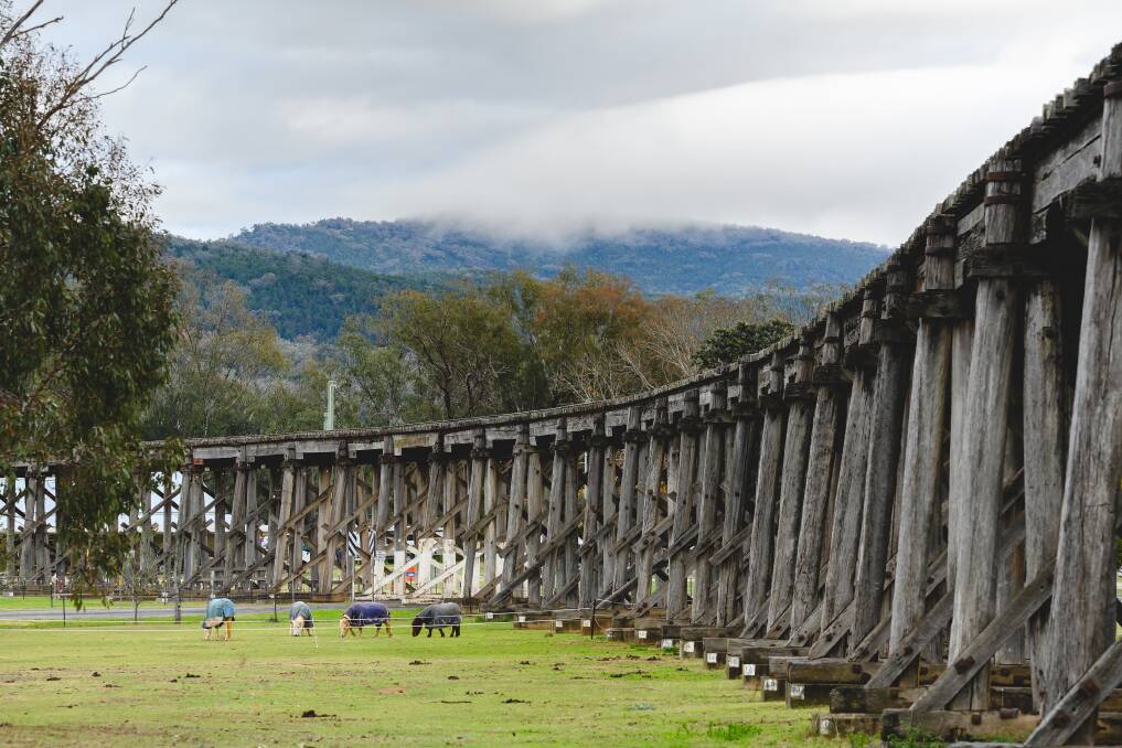 Tremendous Tresses: The Manilla Viaduct is the only curved timber viaduct in the Southern Hemisphere. Photo: Mark Kriedemann.