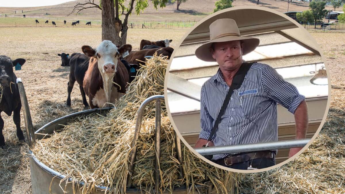 Tamworth farmer Chris Paterson, insert, said the cost of cattle has dropped and the price of hay has risen. Pictures supplied. 