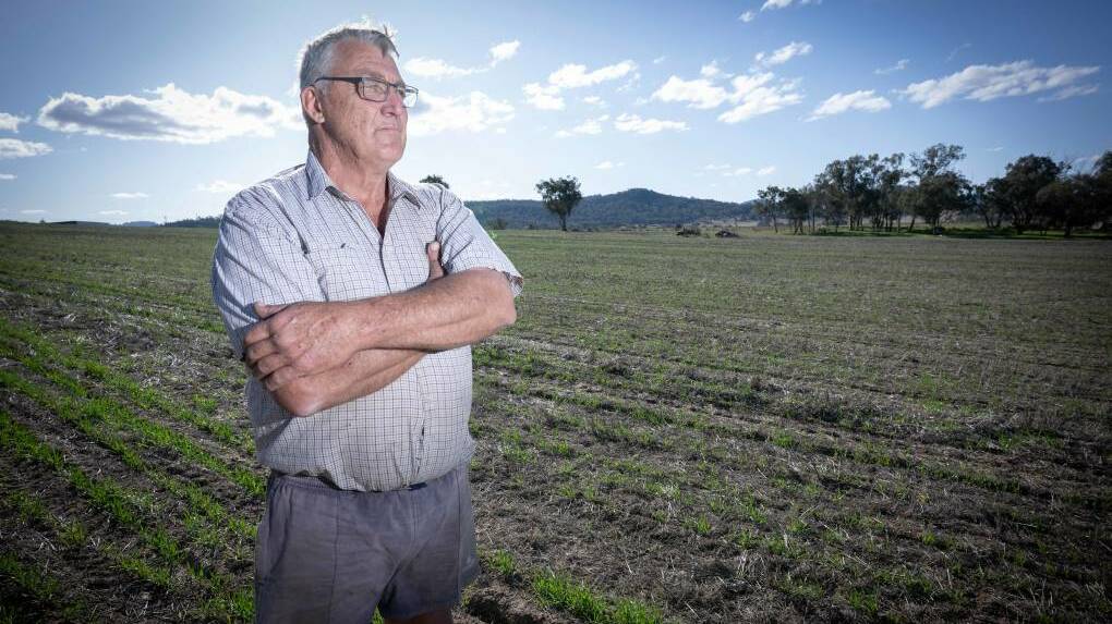 Tamworth farmer Col Quast said the crops he planted to feed his turkeys are not enough to see them through. Picture by Peter Hardin
