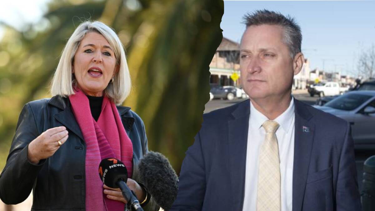 NSW Minister for Police Yasmin Catley, left, and Country Mayors Association chair Jamie Chaffey, right, are at loggerheads over a parliamentary inquiry into regional crime. Pictures by Gareth Gardner
