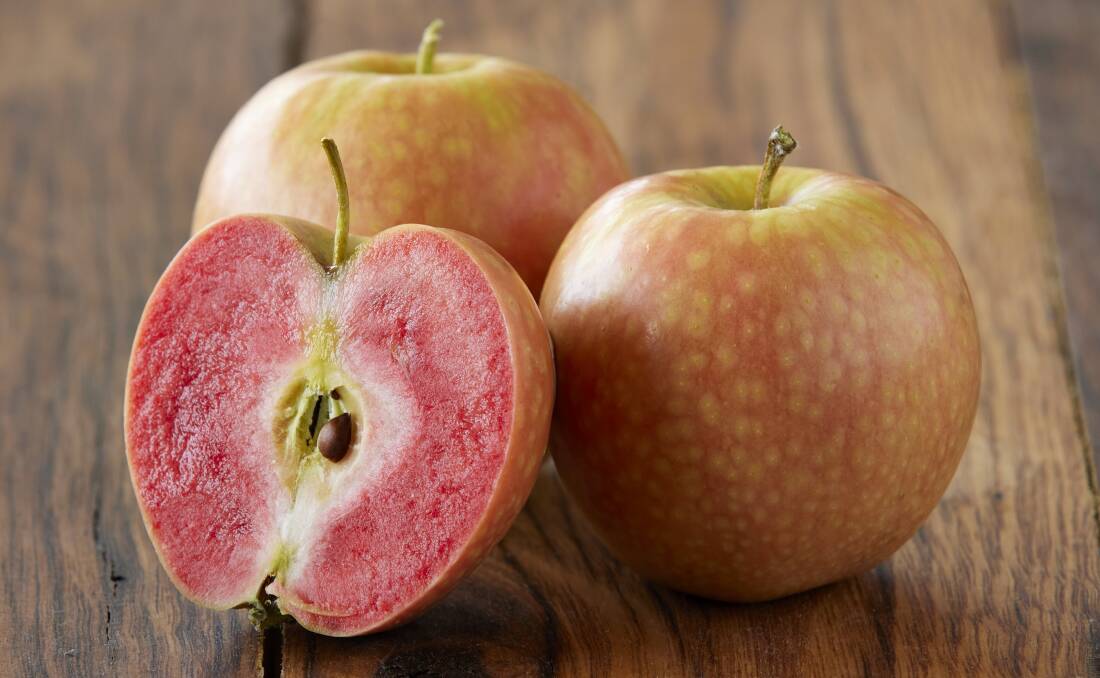 Kissabel apples with their distinctive red flesh. Picture by Simon Anderson.