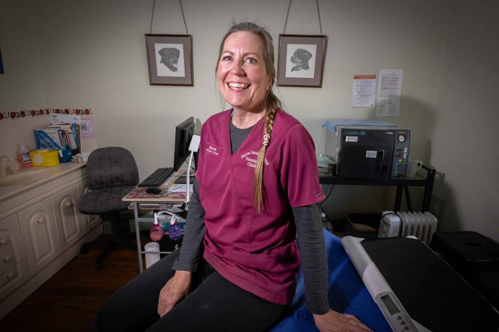 Ms Douglas has had an impassioned 30-year career in veterinary care and is up for an Outstanding Employee award at the 2023 Tamworth Quality Business Awards. Picture by Peter Hardin