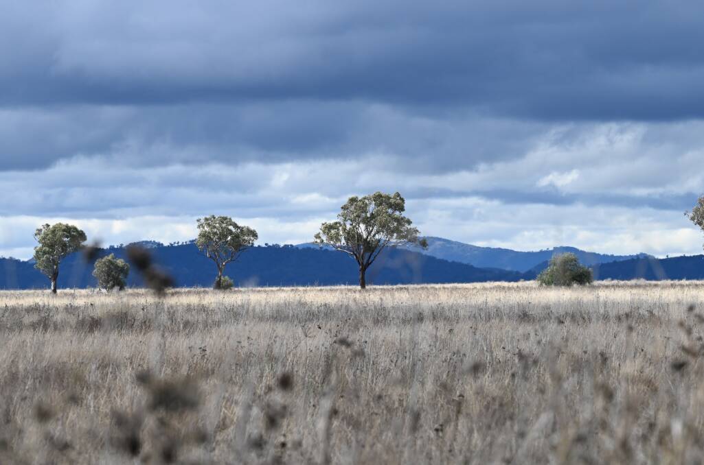 Malua Estate is a tract of prime agricultural land adjacent to Tamworth Regional Airport and is now up for lease as the region continues to expand. Picture by Gareth Gardner
