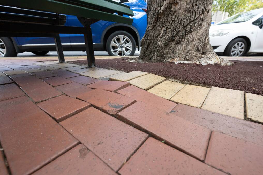 Pavers on Peel Street being pushed up by underground roots. Businesses say trees causing damage to pipes is a regular issue. Picture by Peter Hardin