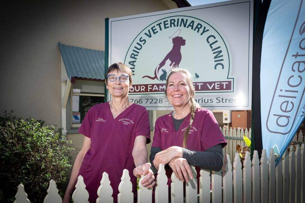 Dr Robyn Edleston and nurse Bonnie Douglas founded the Marius Small Animal Veterinary Clinic together in 1999. Picture by Peter Hardin