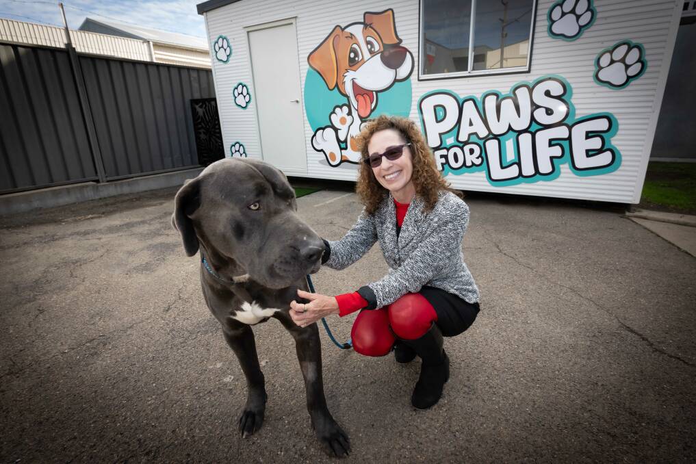 Ms Vereker at Paws for Life's re-opening in June with Clive, who has recently been adopted. Picture by Peter Hardin