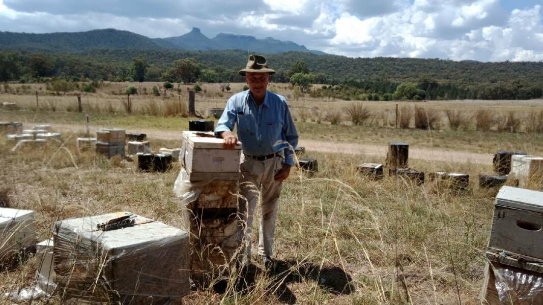 Narrabri beekeeper Ray Jones said Verroa mites cost his small business hundreds of thousands of dollars. Picture supplied by Ray Jones
