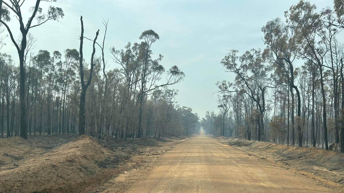 Falling trees remain a big safety issue for firefighters in the Pilliga Forest. Picture by Nic Hann