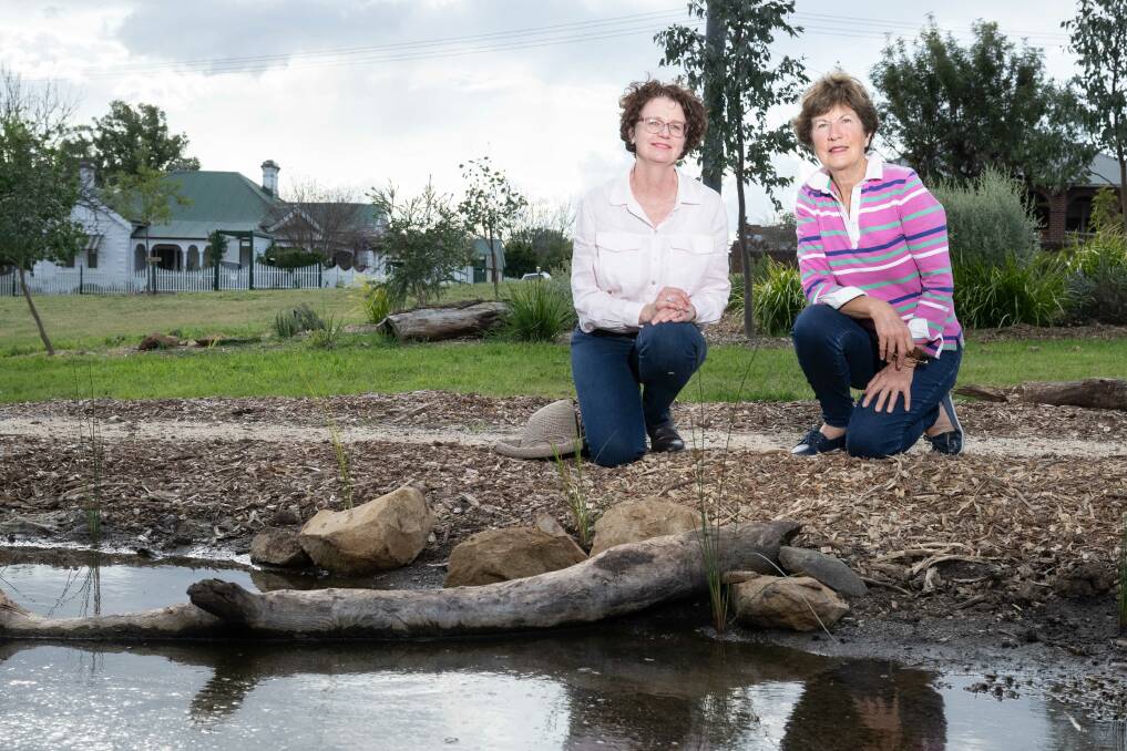 Local residents are working closely with the support of Tamworth Regional Council to bring new life to Currawong Park in East Tamworth. Pictures by Peter Hardin