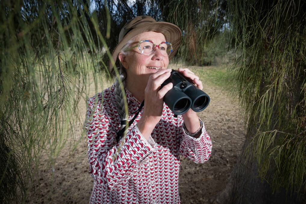 The Great Aussie Bird Count plays a vital role in collecting essential data on bird species diversity and populations, and Tamworth Birdwatcher Denise Kane says anyone, anywhere can take part. The 'Leader' has included some pictures of birds seen locally as a guide to hlep get you started. Pictures by Peter Hardin 